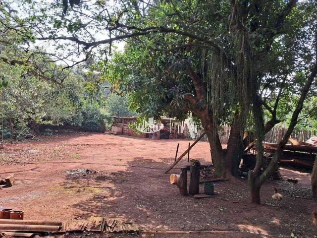 Sítio / Chácara para Venda em Ibiporã/PR Jardim Azaléia 3 Quartos