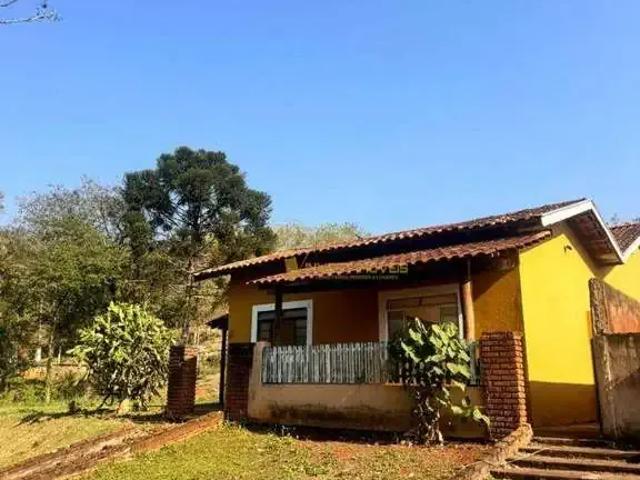 Sítio / Chácara para Venda em Ibiporã/PR Padre Rino Nogarotto 4 Quartos