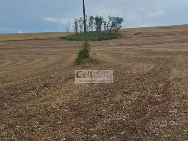 Sítio / Chácara para Venda em Ibiporã/PR Recanto Jacutinga 1 Quartos