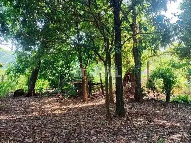 Sítio / Chácara para Venda em Ibiporã/PR Taquara Do Reino 2 Quartos