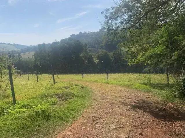 Sítio / Chácara para Venda em Ibiporã/PR Área Rural 1 Quartos