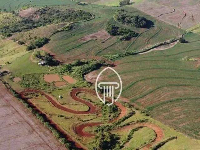 Sítio / Chácara para Venda em Ibiporã/PR Zona Rural