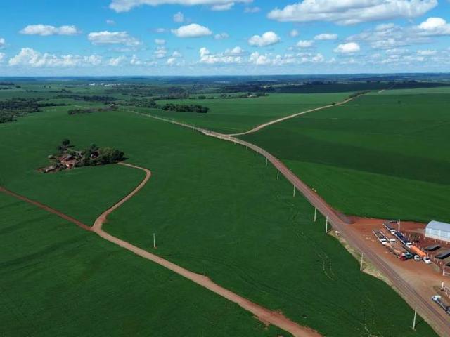 Sítio / Chácara para Venda em Ibiporã/PR Área Rural