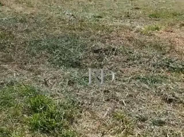 Sítio / Chácara para Venda em Ibiporã/PR Área Rural