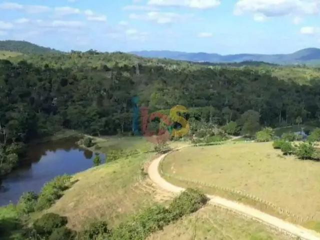 Sítio / Chácara para Venda em Ibirataia/BA Zona Rural 2 Quartos
