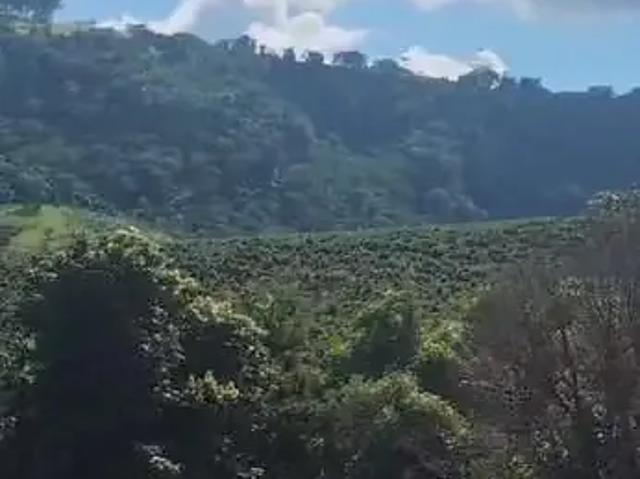 Sítio / Chácara para Venda em Ibiraci/MG Centro 1 Quartos