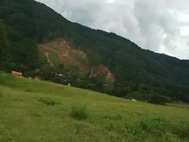 Sítio / Chácara para Venda em Ibirama/SC Centro