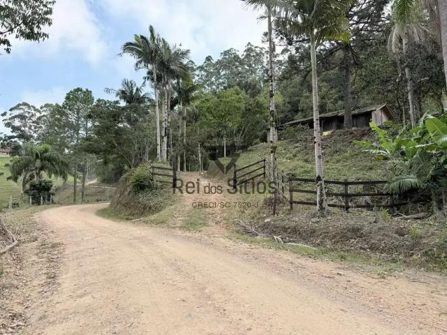 Sítio / Chácara para Venda em Ibirama/SC Distrito de Dalbérgia/Dalbérgia 3 Quartos