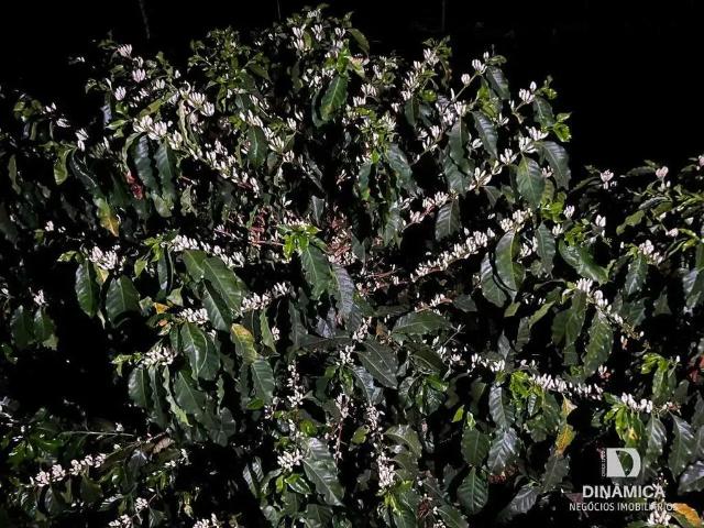 Sítio / Chácara para Venda em Ibitiúra de Minas/MG Zona Rural 2 Quartos