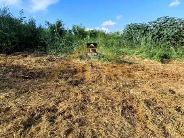 Sítio / Chácara para Venda em Ibitinga/SP Centro
