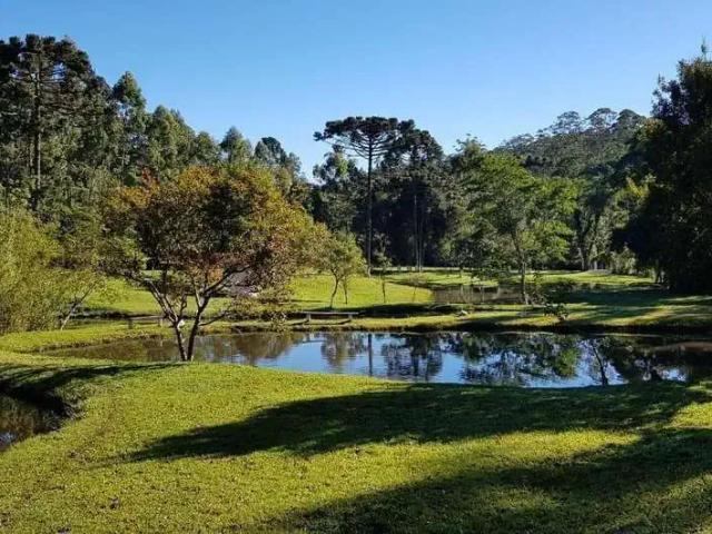 Sítio / Chácara para Venda em Ibiúna/SP Carmo Messias