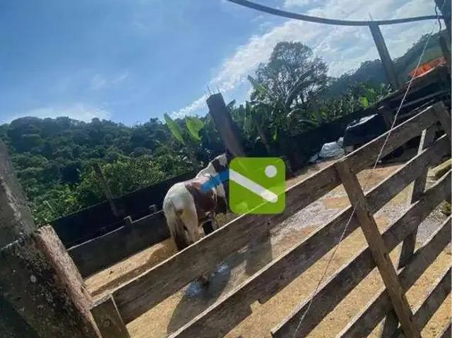 Sítio / Chácara para Venda em Ibiúna/SP Centro 2 Quartos