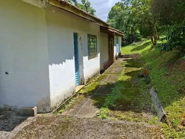 Sítio / Chácara para Venda em Ibiúna/SP Gabriel 3 Quartos
