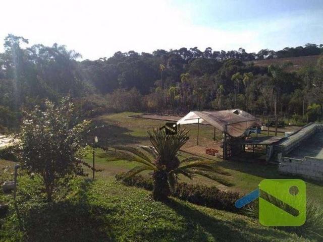 Sítio / Chácara para Venda em Ibiúna/SP Centro 4 Quartos