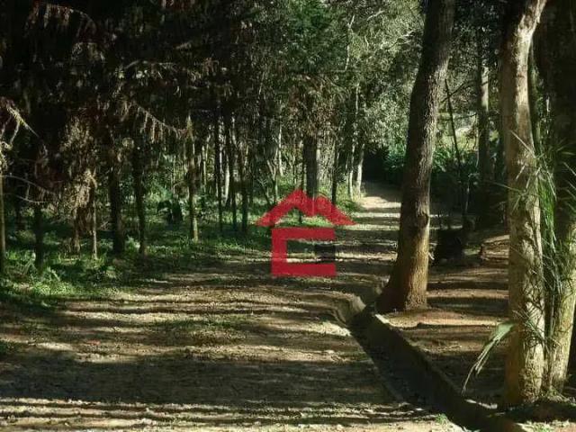 Sítio / Chácara para Venda em Ibiúna/SP Puris