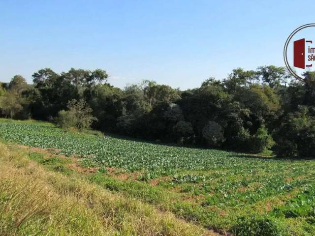 Sítio / Chácara para Venda em Ibiúna/SP Recreio
