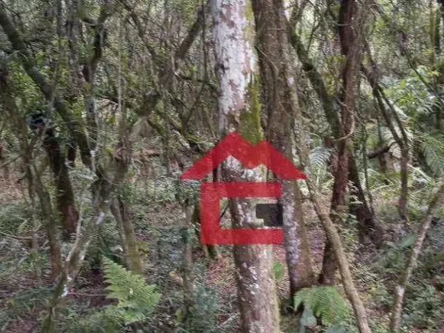Sítio / Chácara para Venda em Ibiúna/SP Recreio 3 Quartos
