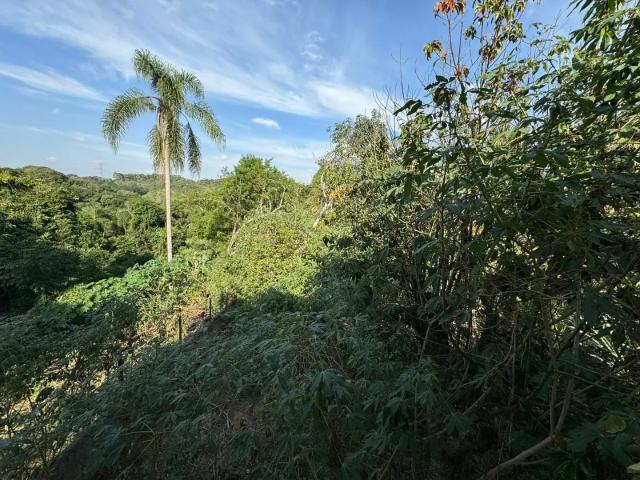 Sítio / Chácara para Venda em Ibiúna/SP Verava 1 Quartos