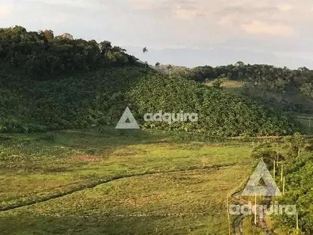 Sítio / Chácara para Venda em Iguape/SP Zona Rural 4 Quartos