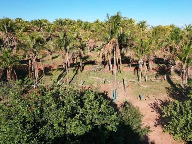 Sítio / Chácara para Venda em Iguaraçu/PR Zona Rural 3 Quartos