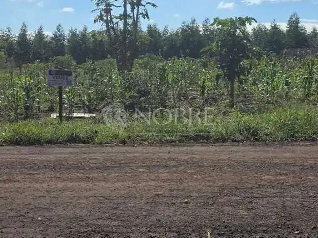 Sítio / Chácara para Venda em Iguaraçu/PR Recanto dos Ipês