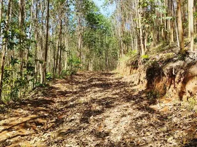 Sítio / Chácara para Venda em Igaratá/SP Zona Rural