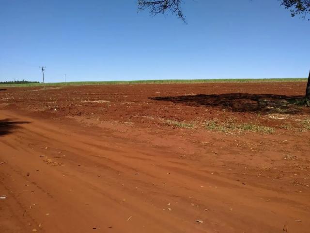 Sítio / Chácara para Venda em Igarapava/SP Centro