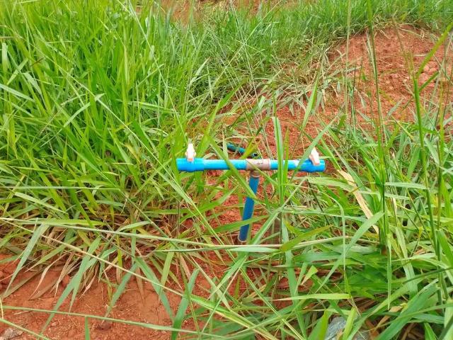 Sítio / Chácara para Venda em Igarapé/MG Marechal Rondon