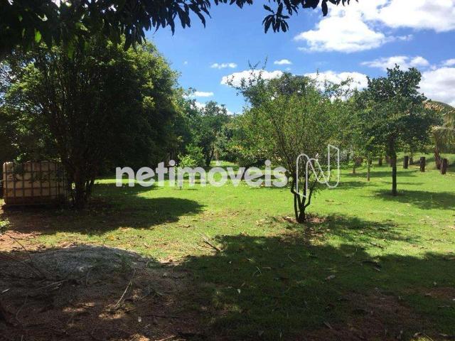Sítio / Chácara para Venda em Igarapé/MG Vivendas Santa Mônica I 5 Quartos
