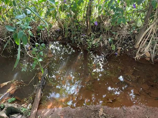 Sítio / Chácara para Venda em Igarapé/MG Zona Rural 2 Quartos