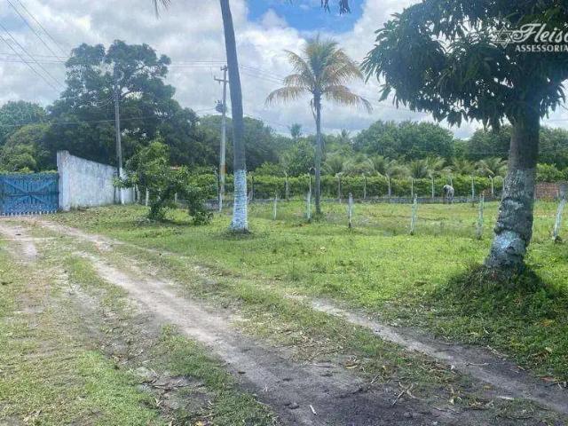 Sítio / Chácara para Venda em Igarassu/PE Sítio dos Marcos 1 Quartos
