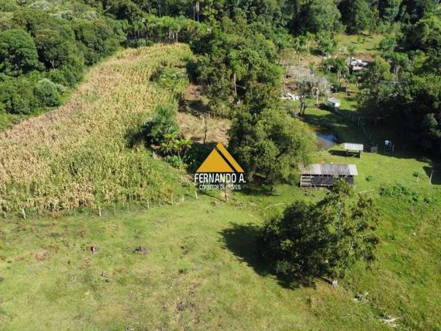 Sítio / Chácara para Venda em Igrejinha/RS Serra Grande