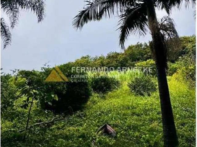 Sítio / Chácara para Venda em Igrejinha/RS Serra Grande