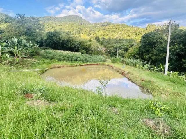 Sítio / Chácara para Venda em Igrejinha/RS Zona Rural 4 Quartos