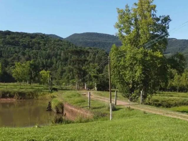 Sítio / Chácara para Venda em Igrejinha/RS Zona Rural