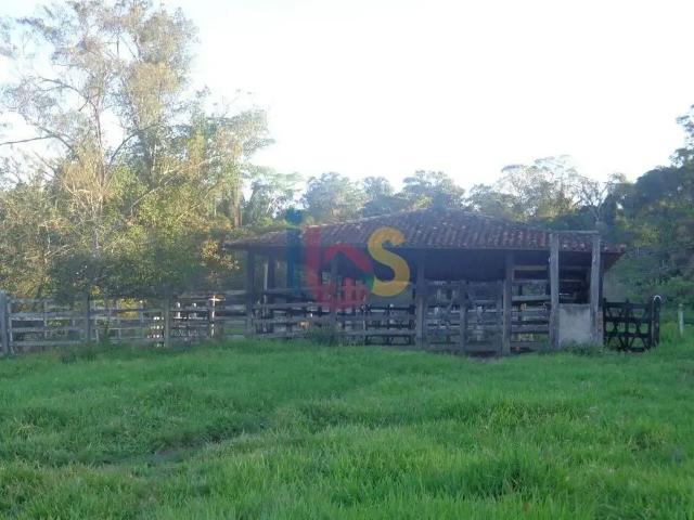 Sítio / Chácara para Venda em Ilhéus/BA Área Rural de Ilhéus