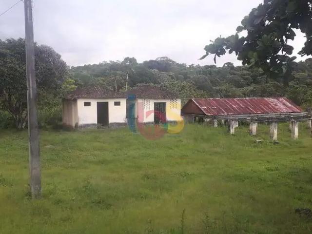 Sítio / Chácara para Venda em Ilhéus/BA Iguape