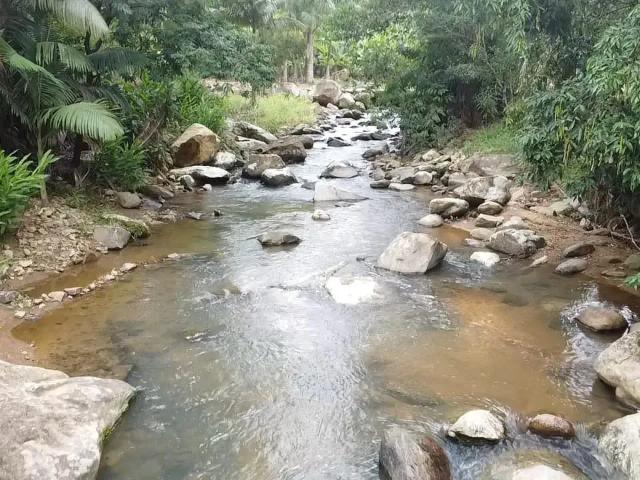 Sítio / Chácara para Venda em Ilhota/SC Baú Central 3 Quartos