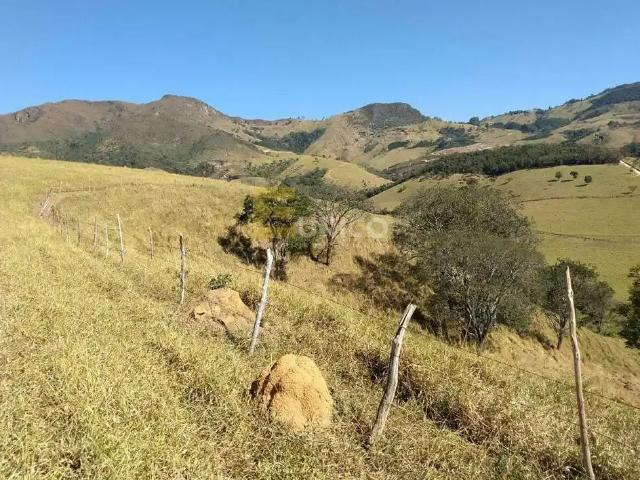 Sítio / Chácara para Venda em Ilicínea/MG Zona Rural 3 Quartos