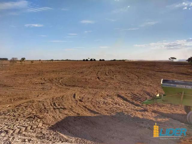 Sítio / Chácara para Venda em Ipameri/GO Área Rural de Ipameri