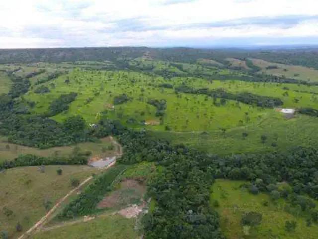 Sítio / Chácara para Venda em Ipameri/GO Área Rural de Ipameri