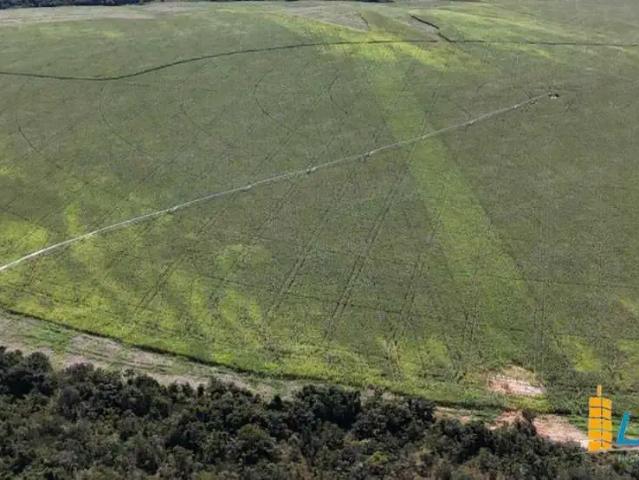 Sítio / Chácara para Venda em Ipameri/GO Área Rural de Ipameri