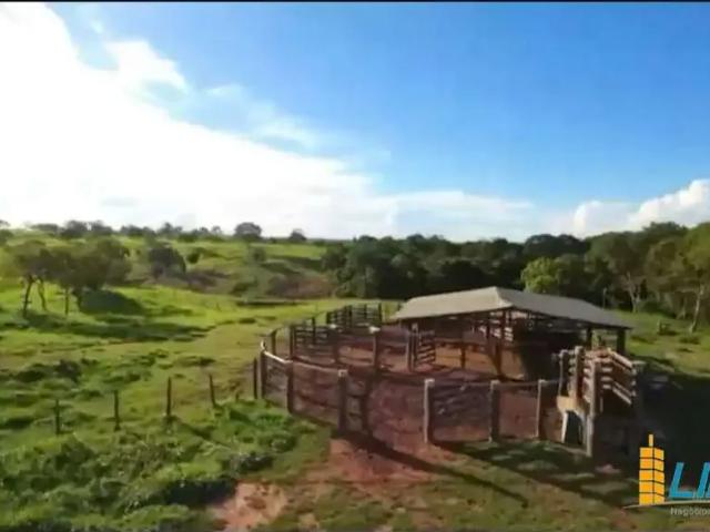 Sítio / Chácara para Venda em Ipameri/GO Área Rural de Ipameri
