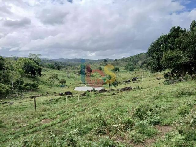 Sítio / Chácara para Venda em Ipiaú/BA Zona Rural