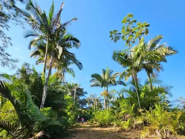 Sítio / Chácara para Venda em Iporanga/SP Centro