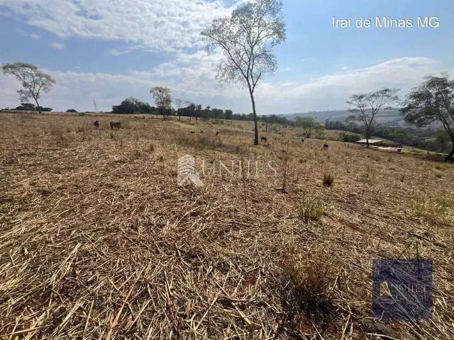 Sítio / Chácara para Venda em Iraí de Minas/MG Centro