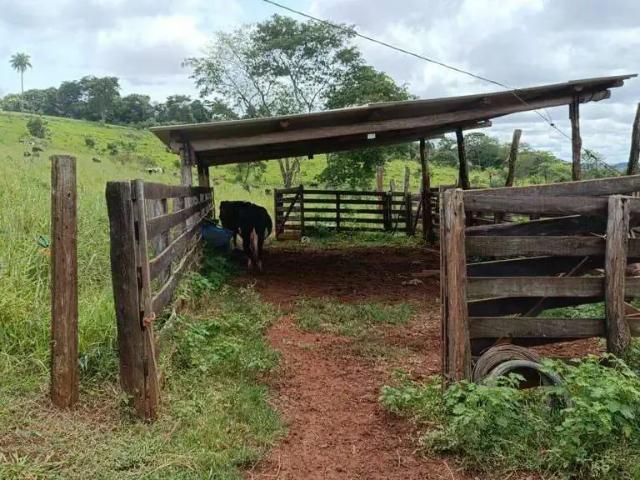 Sítio / Chácara para Venda em Iraí de Minas/MG Zona Rural