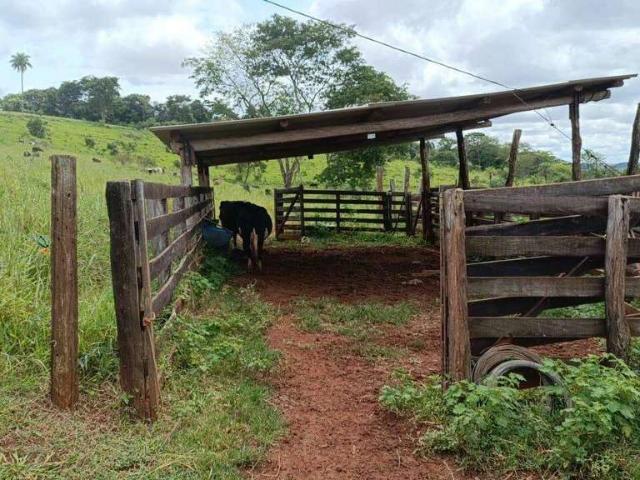 Sítio / Chácara para Venda em Iraí de Minas/MG Zona Rural
