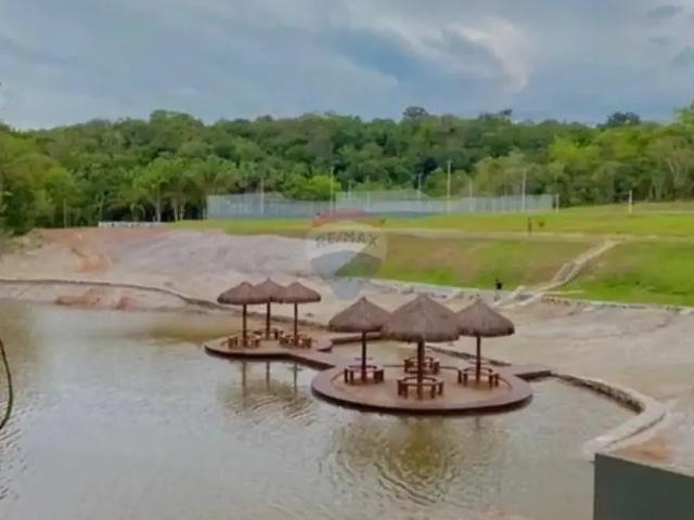 Sítio / Chácara para Venda em Iranduba/AM Cacau Pirêra