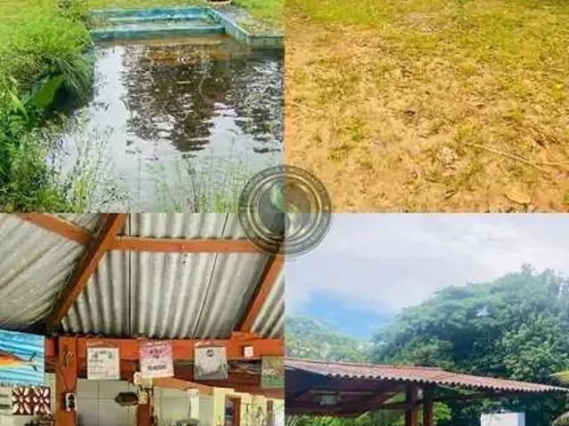 Sítio / Chácara para Venda em Iranduba/AM Centro 3 Quartos